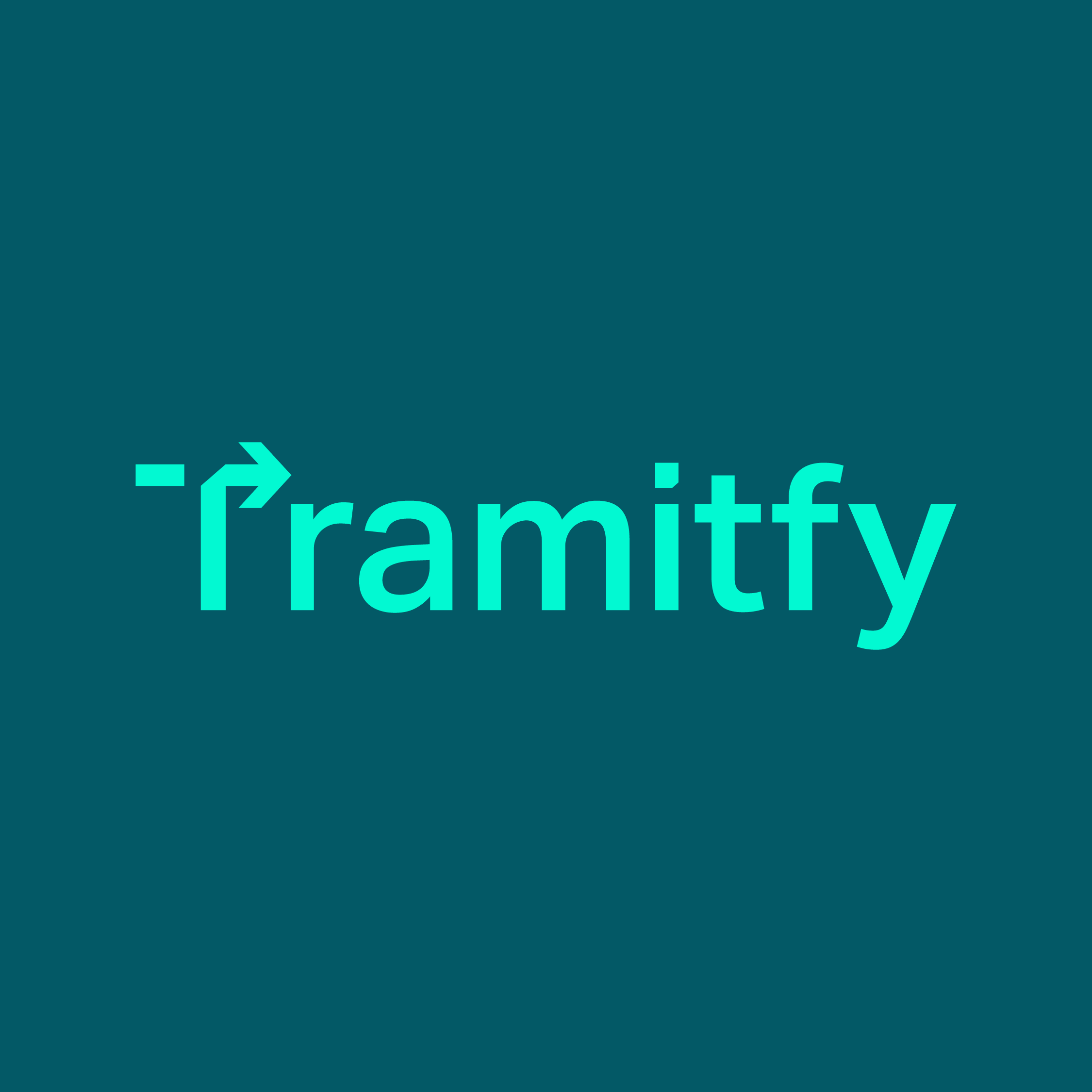 Tramitfy_XXSS_Perfil_3